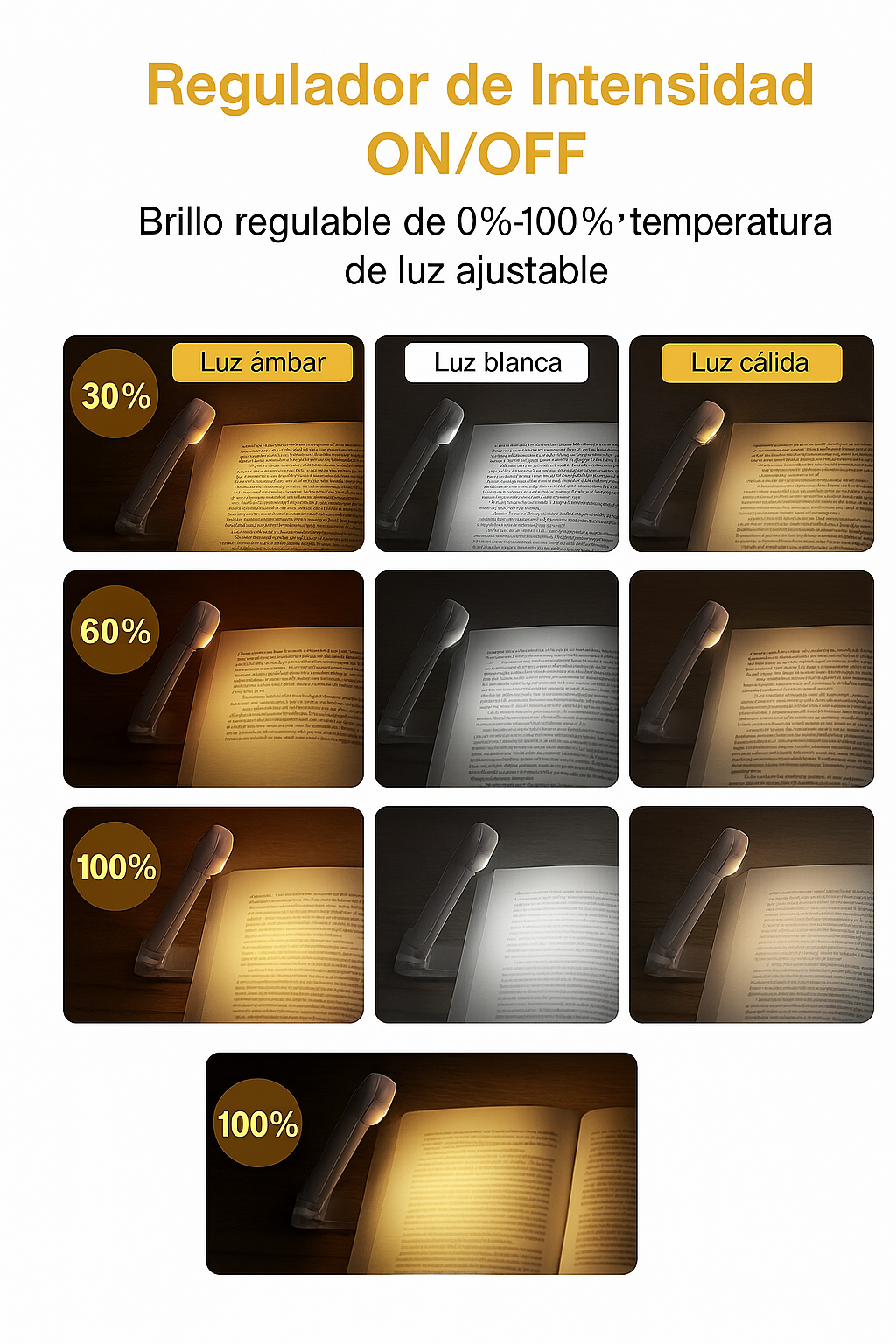 LumiPage